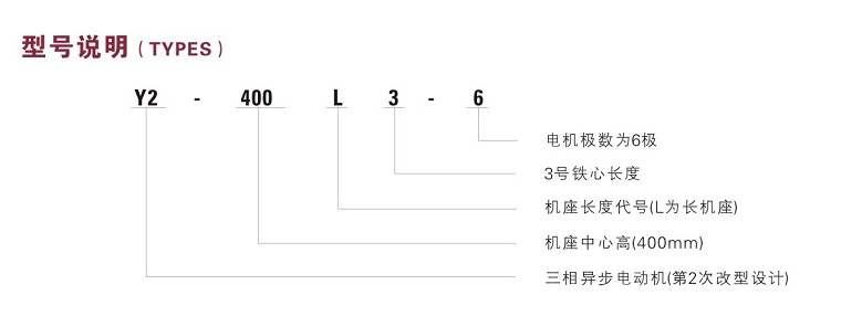 Y2VF400低壓變頻調(diào)速電機(jī)型號說明